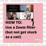 Zoom cat filter