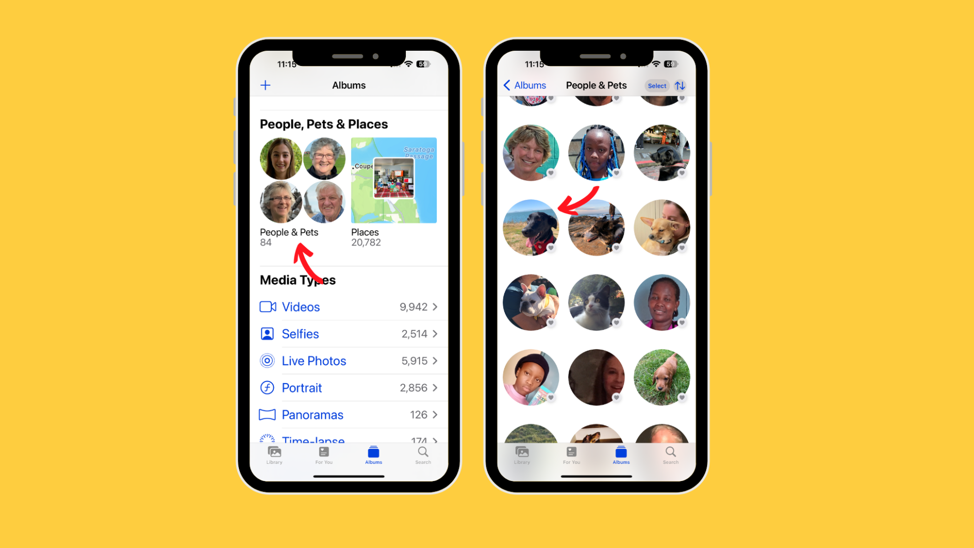 add people and pets to iphone
